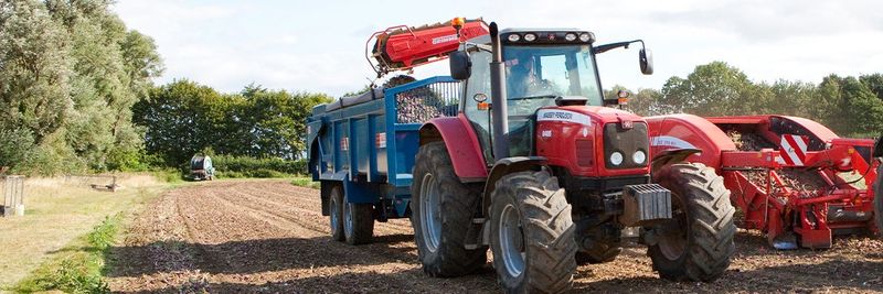 Bedfordshire Growers Ltd - supplier and manufacturer from 영국
