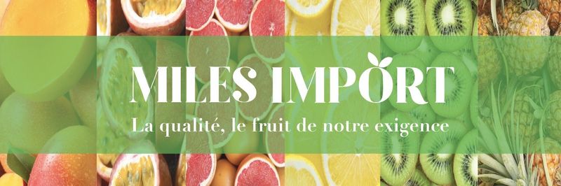 Miles import - supplier and manufacturer from 프랑스
