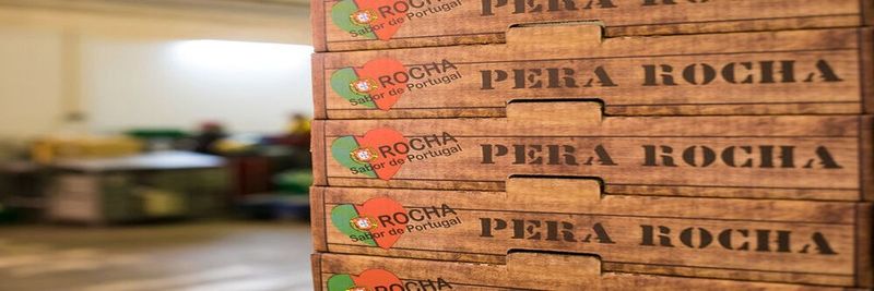 Cooperativa Agrícola de Hortofruticultores do Oeste, CRL - supplier and manufacturer from 포르투갈