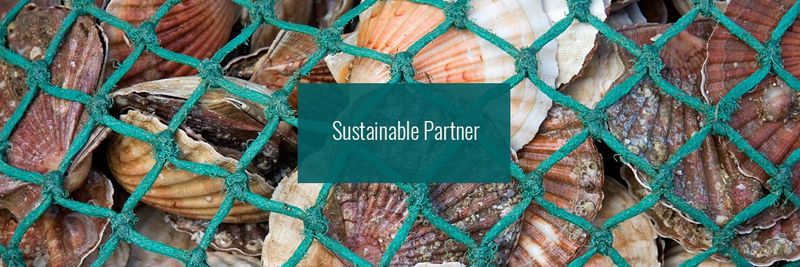 Seatrade International Company, Inc - supplier and manufacturer from United States