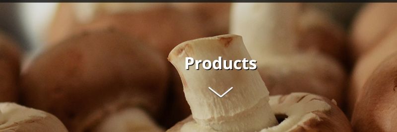 Marina Mushrooms - supplier and manufacturer from Israel
