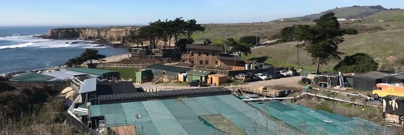 American Abalone Farm - supplier and manufacturer from 미국