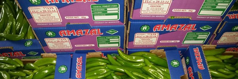 AMAPRIM - supplier and manufacturer from Morocco