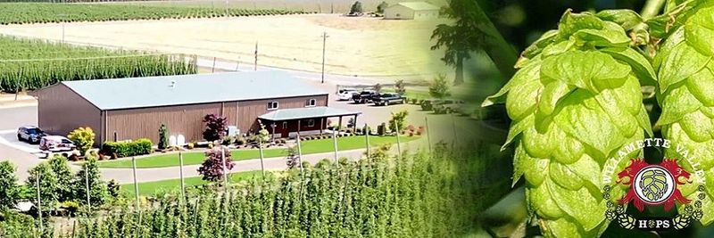 WILLAMETTE VALLEY HOPS, LLC - supplier and manufacturer from 미국
