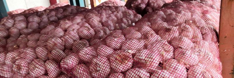 Wuhan Sier International Co., Ltd - supplier and manufacturer from 중국