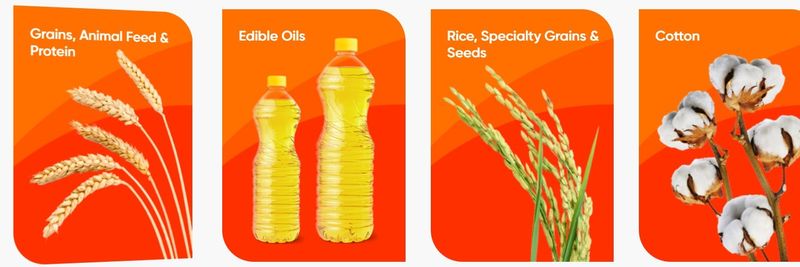 OLAM ANDINA - supplier and manufacturer from 페루