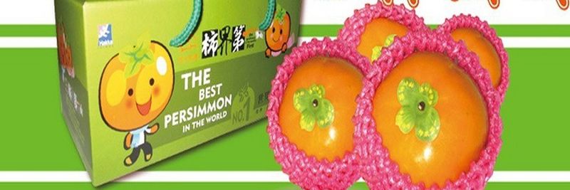 Shi Wai Toa Yuan CO., LTD. - supplier and manufacturer from Taiwan