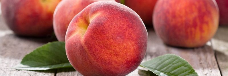 COOPERATIVE AGRICULTURAL OF MESSI - supplier and manufacturer from 그리스