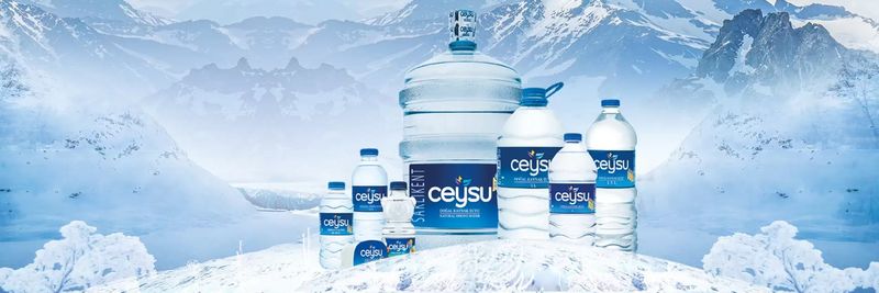 Ceylan Işletme Inşaat Turizm Yatırım San. Ve Tic. A.Ş. - supplier and manufacturer from 튀르키예