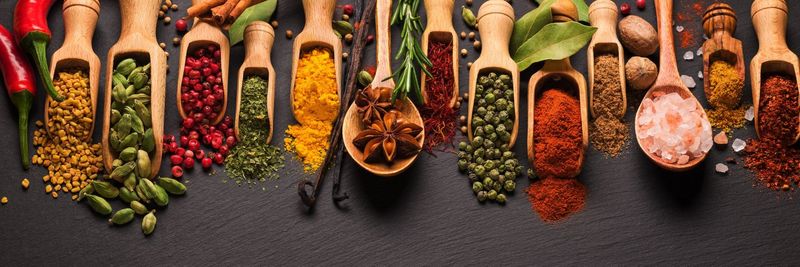 Lay Spices oHG - supplier and manufacturer from Germany