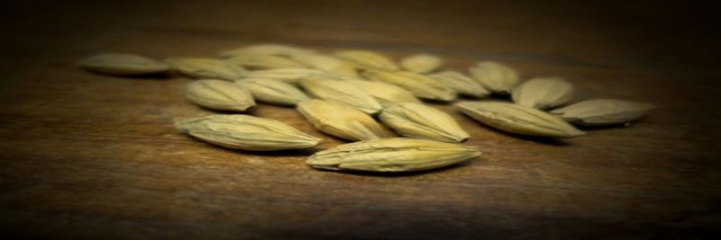 Canowindra Produce Co Pty Ltd - supplier and manufacturer from 호주