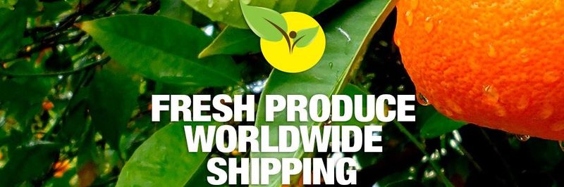 EARTHFRUCTIFERA - supplier and manufacturer from 에콰도르