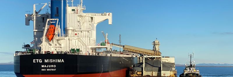 Export Trading Co. Ltd. - supplier and manufacturer from 케냐