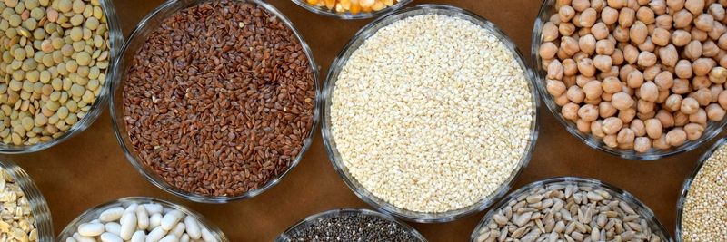 Mills Bros with Global Harvest - supplier and manufacturer from 미국