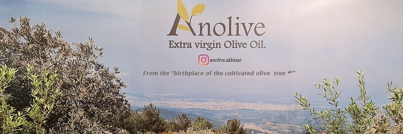 Anolive Gida San. A.S. - Verified supplier and manufacturer from 튀르키예