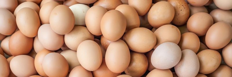 Heidel Eggs - supplier and manufacturer from 남아프리카공화국