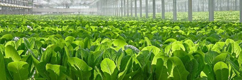 Famifarm Oy - supplier and manufacturer from Finland