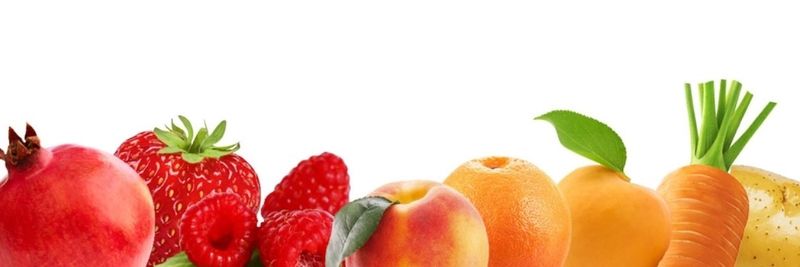 Penguen Food - supplier and manufacturer from Turkiye