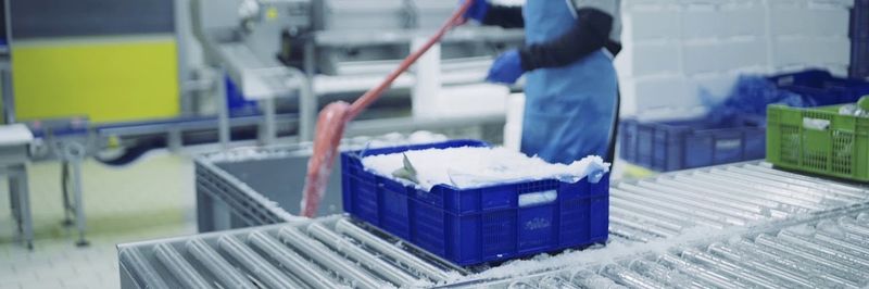 Tumay Balikçilik Gida Dis Tic. San. A.S. - Tumay Seafood Group - supplier and manufacturer from Turkiye