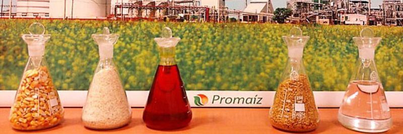 Promaiz - supplier and manufacturer from 아르헨티나