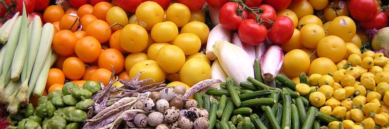 NUTRIA FOOD SDN BHD - supplier and manufacturer from 말레이시아