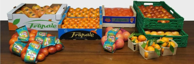Frupale (Explotaciones Agricolas Frupale SA) - supplier and manufacturer from 스페인