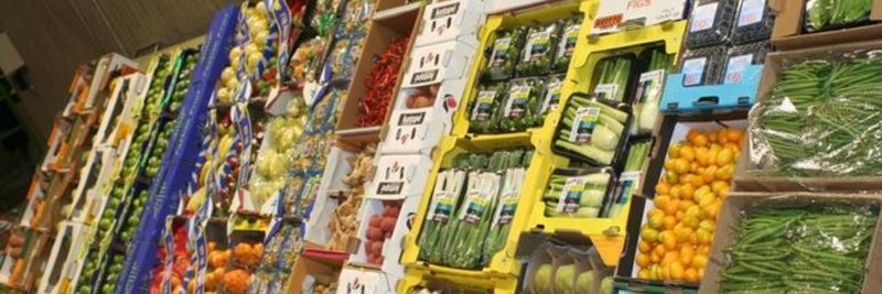 Exofi - supplier and manufacturer from 벨기에