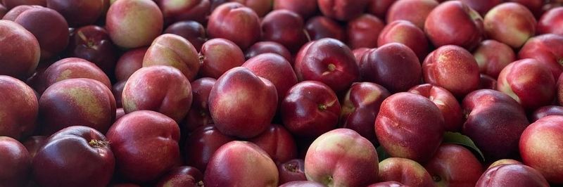 Strode Road Orchard Limited - supplier and manufacturer from New Zealand