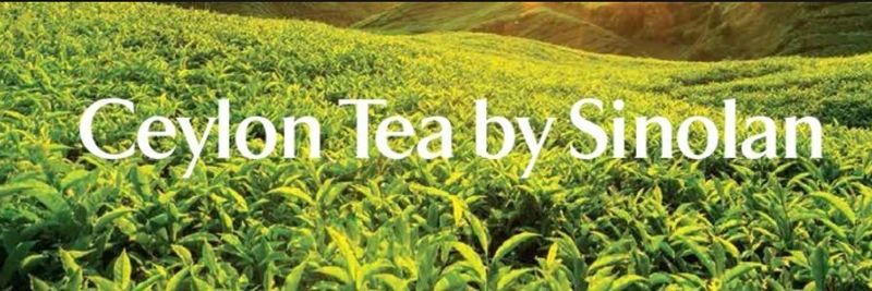 Sinolan Tea (Pvt) Ltd - supplier and manufacturer from 스리랑카