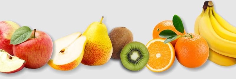 FVG Fruit Processing GmbH & Co. KG - supplier and manufacturer from 독일