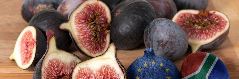 Alternafruit - supplier and manufacturer from 남아프리카공화국