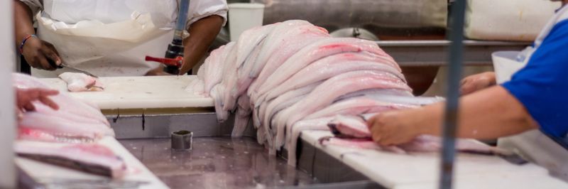 Gordon's Bay Fisheries - supplier and manufacturer from 남아프리카공화국