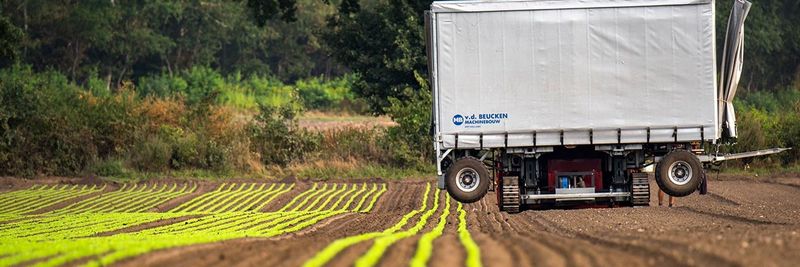 Beckedorf Fresh Vegetables - supplier and manufacturer from Germany