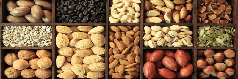 Gfn Food Sales - supplier and manufacturer from 미국