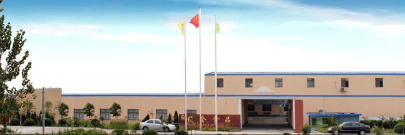 Xinghua Tongquan Foods Co., Ltd. - supplier and manufacturer from 중국