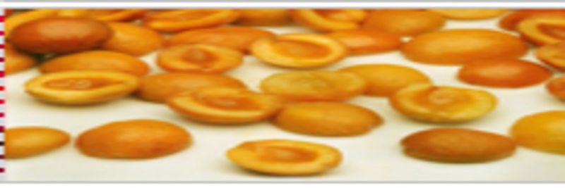Sanex Organic Food - supplier and manufacturer from 튀르키예
