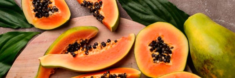 Frutas BS - supplier and manufacturer from 브라질