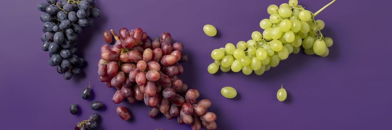 Olympic Fruit Bv - supplier and manufacturer from 네덜란드