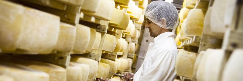 Klein River Cheese - supplier and manufacturer from 남아프리카공화국