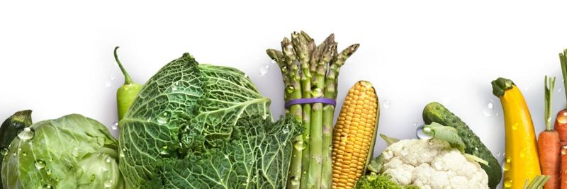 Farm Price Sdn. Bhd. - supplier and manufacturer from Malaysia