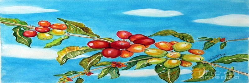 Shwe Yin Mar Coffee - supplier and manufacturer from 미얀마 [버마]