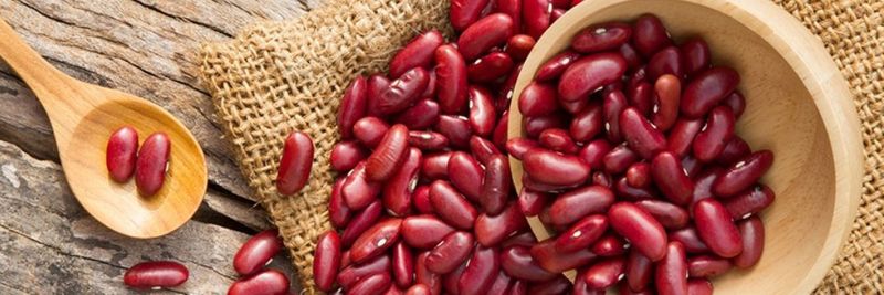 Shakir Agriculture Industries Ltd. - supplier and manufacturer from Uganda