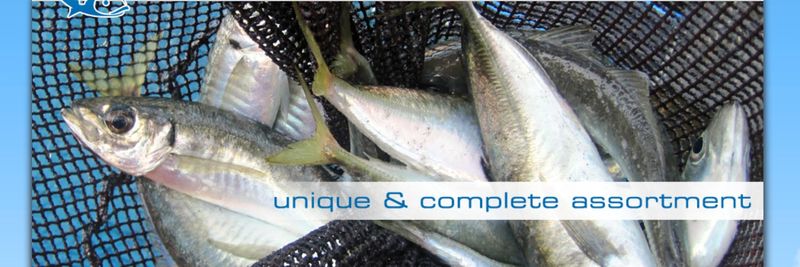 MEDITERRANEAN FISH CO., LTD. A. KARABOURNIOTIS & CO. OE - supplier and manufacturer from 그리스
