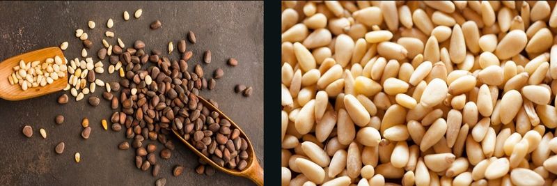 Hermain Foods International - supplier and manufacturer from 파키스탄