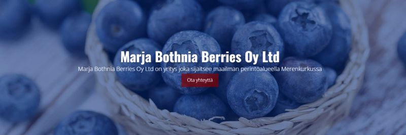 Marja Bothnia Berries - supplier and manufacturer from 핀란드