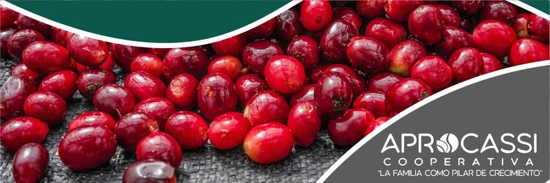 Cooperat. De Serv. Multiples Aprocassi - supplier and manufacturer from 페루