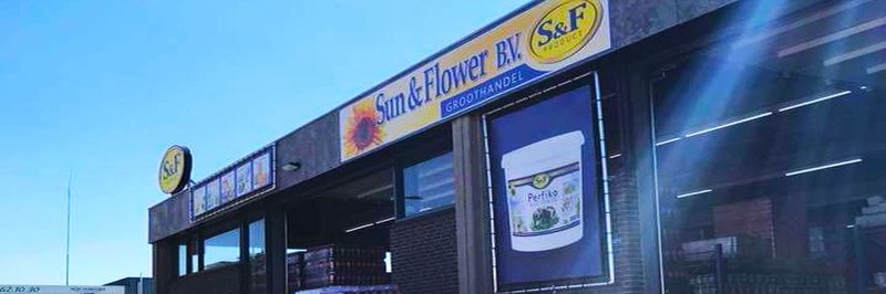 Sun and flower - supplier and manufacturer from Netherlands