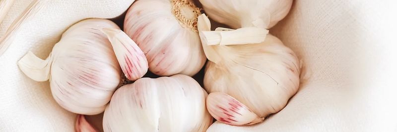 The Garlic Box - supplier and manufacturer from Canada