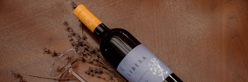 Podgoria Vin - supplier and manufacturer from 몰도바