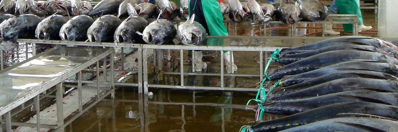 Union Fish Co - supplier and manufacturer from 미국